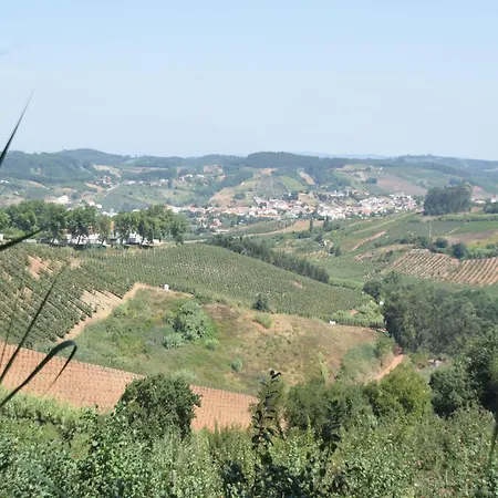 Villa In Obidos With Pool And Vineyards, Cleaning Included 빌라 Carreiros