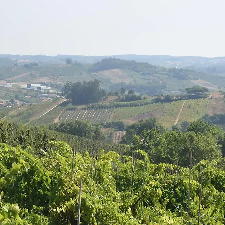 Villa In Obidos With Pool And Vineyards, Cleaning Included 빌라 Carreiros