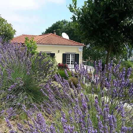 빌라 Villa In Obidos With Pool And Vineyards, Cleaning Included Carreiros